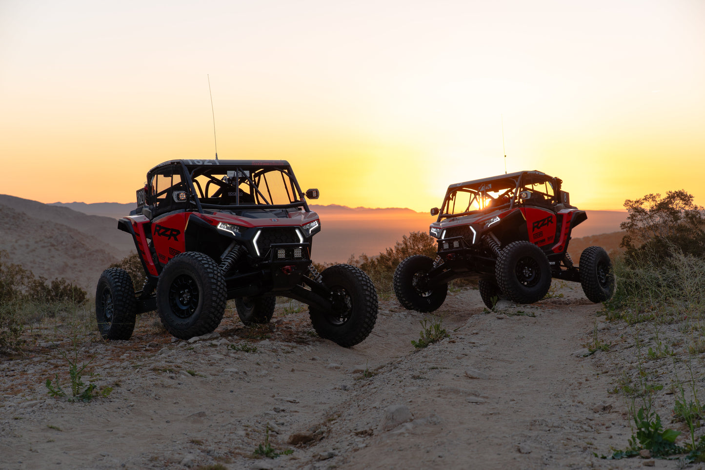 TMW Polaris XPS 2 Seat Desert Series Cage
