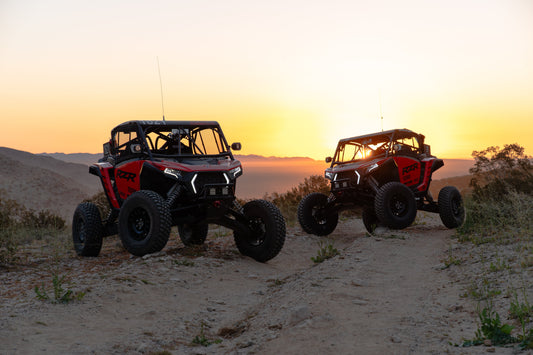 TMW Polaris XPS 2 Seat Desert Series Cage